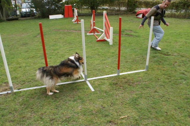 agility 2011-10-30